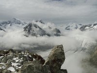 CH, Wallis, Fiesch, Eggishorn, Aletschhorn-Konkordiaplatz 1, Saxifraga-Willem van Kruijsbergen